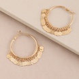 fashion gold geometric alloy tassel simple alloy earringspicture12